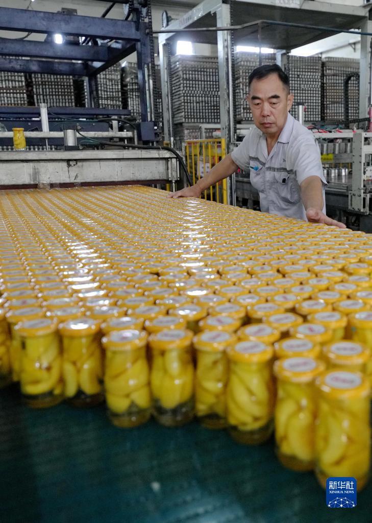 怎么注册赌网站